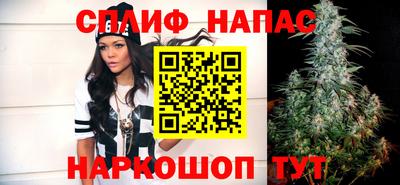 СК Обь
