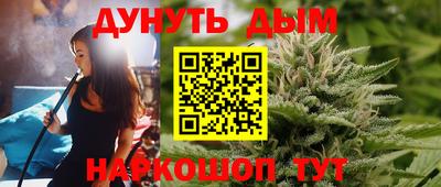 СК Обь